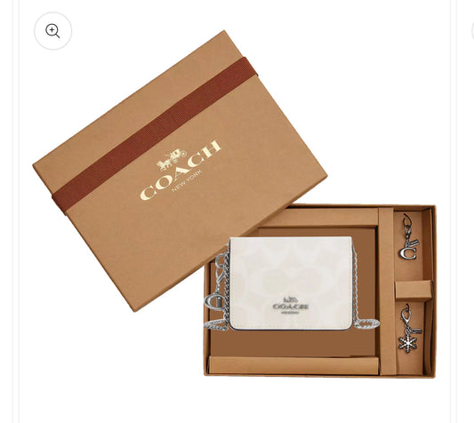 Mini bolsa coach